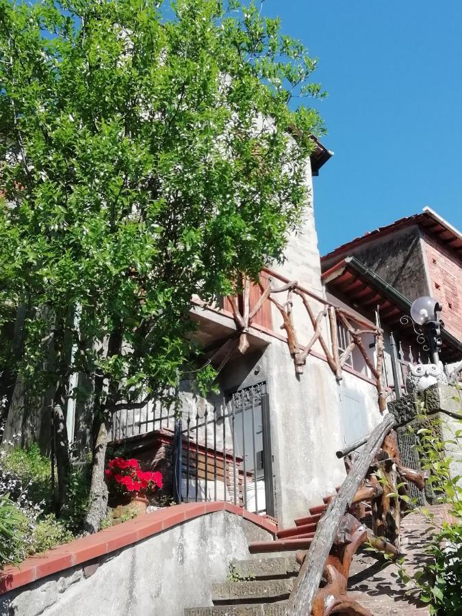 Collodi Castle Fairyhouse Apartment ภายนอก รูปภาพ